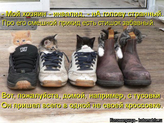 - Мой хозяин - инвалид, - нА голову странный. Про его смешной прикид есть стишок забавный. Вот, пожал... Котоматрица: - Мой хозяин - инвалид, - нА голову странный. Про его смешной прикид есть стишок забавный. Вот, пожалуйста, домой, например, с тусовки Он пришел