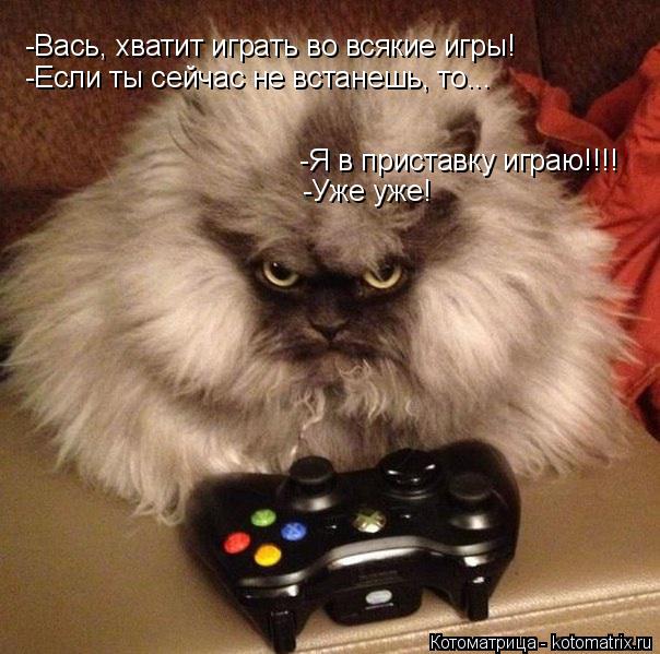 Котоматрица: -Вась, хватит играть во всякие игры! -Вась, хватит играть во всякие игры! -Я в приставку играю!!!! -Если ты сейчас не встанешь, то... -Уже уже!