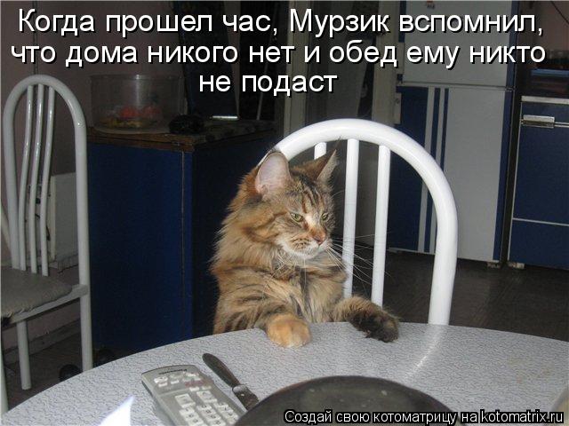 Когда прошел час, Мурзик вспомнил, что дома никого нет и обед ему никто не подаст... Котоматрица: Когда прошел час, Мурзик вспомнил, что дома никого нет и обед ему никто не подаст