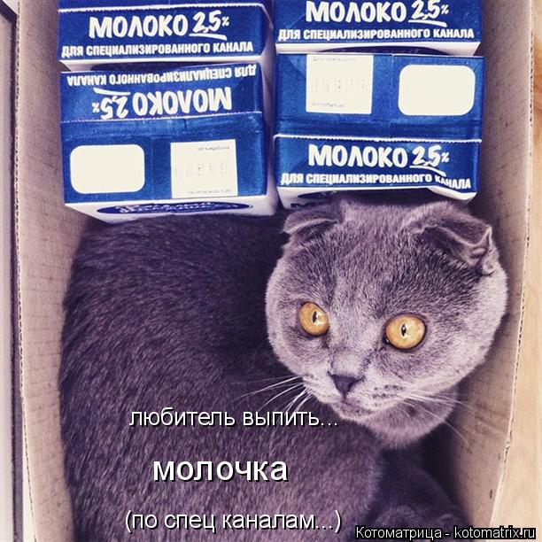 Котоматрица: (по спец каналам...) любитель выпить... молочка