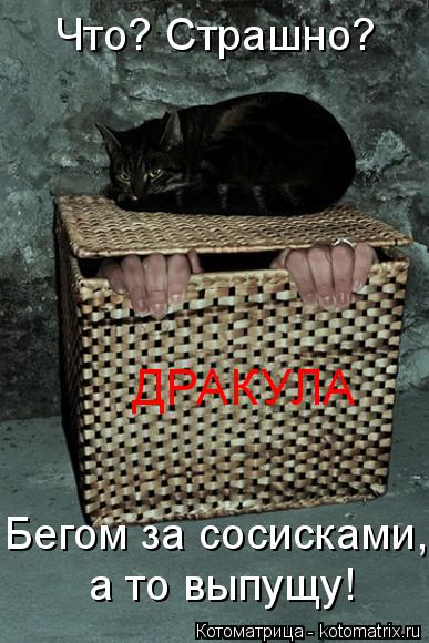Что? Страшно? Бегом за сосисками, а то выпущу! ДРАКУЛА... Котоматрица: Что? Страшно? Бегом за сосисками, а то выпущу! ДРАКУЛА