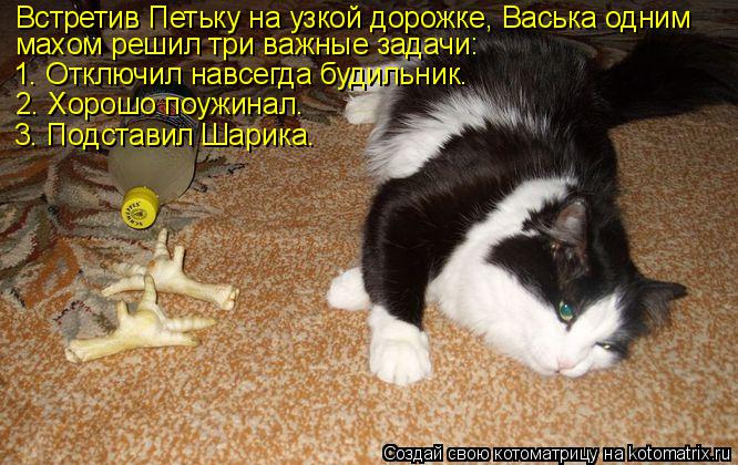 Котоматрица: Встретив Петьку на узкой дорожке, Васька одним махом решил три важные задачи: 1. Отключил навсегда будильник. 2. Хорошо поужинал. 3. Подставил 