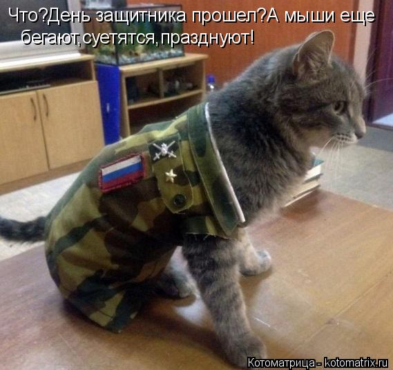 Котоматрица: Что?День защитника прошел?А мыши еще бегают,суетятся,празднуют!