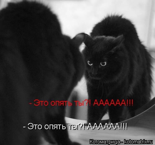 - Это опять ты?! АААААА!!! - Это опять ты?! АААААА!!!... Котоматрица: - Это опять ты?! АААААА!!! - Это опять ты?! АААААА!!!
