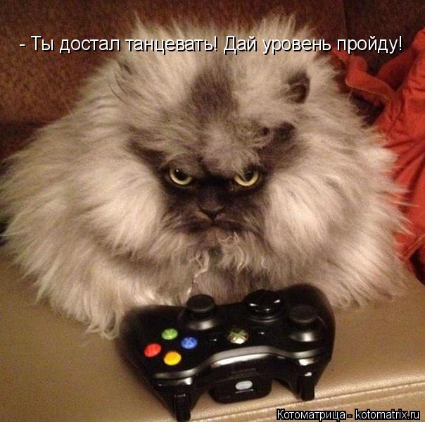 Котоматрица: - Ты достал танцевать! Дай уровень пройду!