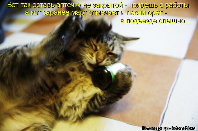 Котоматрица: Вот так оставь аптечку не закрытой - придёшь с работы, а кот заранее март отмечает и песни орёт -  в подъезде слышно...