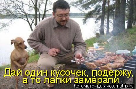 а то лапки замёрзли Дай один кусочек, подержу,... Котоматрица: а то лапки замёрзли Дай один кусочек, подержу,