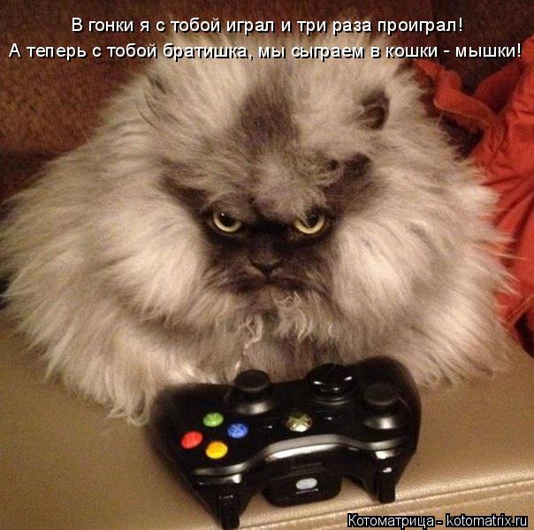 Котоматрица: А теперь с тобой братишка, мы сыграем в кошки - мышки! В гонки я с тобой играл и три раза проиграл!