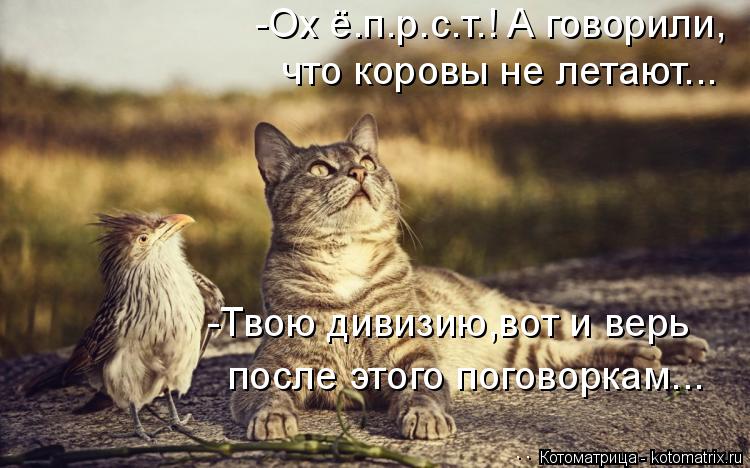 -Ох ё.п.р.с.т.! А говорили, что коровы не летают... -Твою дивизию,вот и верь после этого поговоркам..... Котоматрица: -Ох ё.п.р.с.т.! А говорили, что коровы не летают... -Твою дивизию,вот и верь после этого поговоркам...