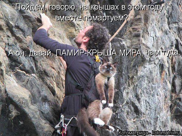 Пойдём, говорю, на крышах в этом году вместе помартуем? А он: давай, ПАМИР-КРЫША МИРА, нам туда.... Котоматрица: Пойдём, говорю, на крышах в этом году вместе помартуем? А он: давай, ПАМИР-КРЫША МИРА, нам туда.