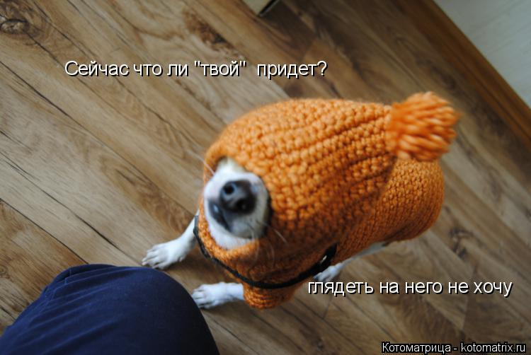 Котоматрица: Сейчас что ли "твой"  придет? глядеть на него не хочу