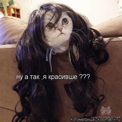 ну а так ,я красивше ???... Котоматрица: ну а так ,я красивше ???