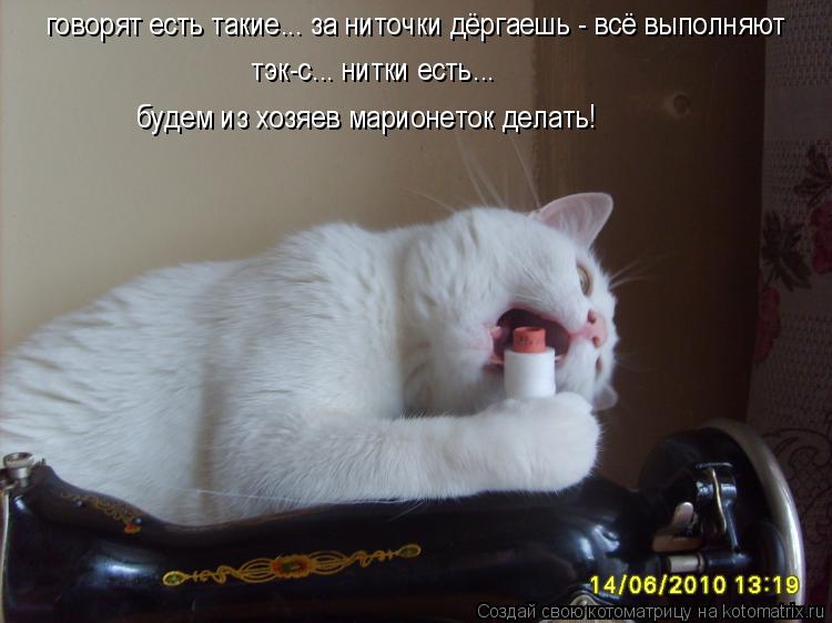 тэк-с... нитки есть... говорят есть такие... за ниточки дёргаешь - всё выполняют будем из хозяев мари... Котоматрица: тэк-с... нитки есть... говорят есть такие... за ниточки дёргаешь - всё выполняют будем из хозяев марионеток делать!