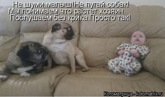 Котоматрица: Не шуми,малыш!Не пугай собак! Мы понимаем,что растет хозяин. Послушаем без крика.Просто так!