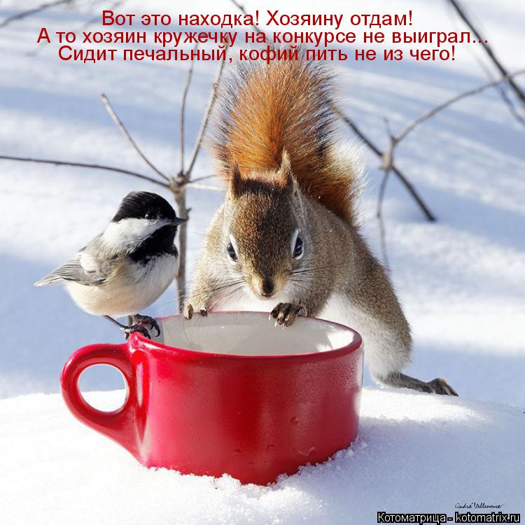 Котоматрица: Вот это находка! Хозяину отдам! А то хозяин кружечку на конкурсе не выиграл... Сидит печальный, кофий пить не из чего!