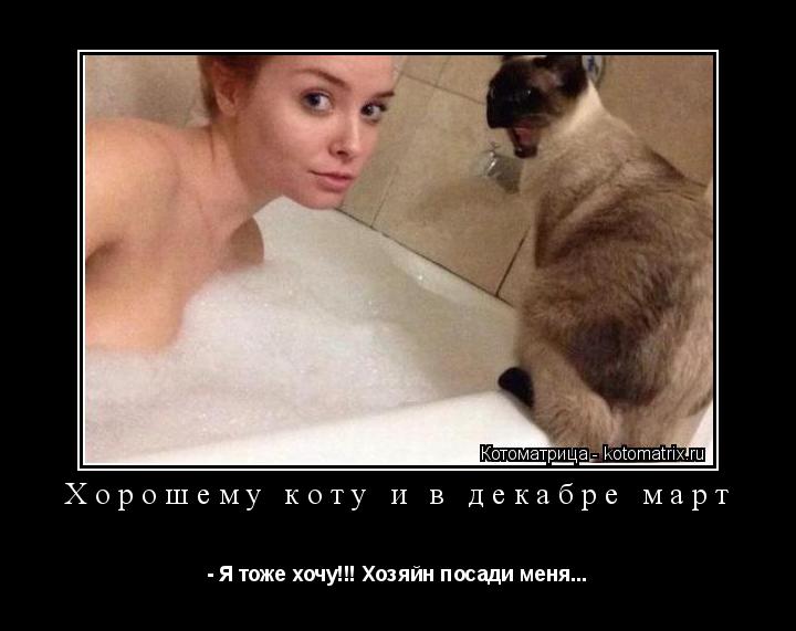 Хорошему коту и в декабре март - Я тоже хочу!!! Хозяйн посади меня...... Котоматрица: Хорошему коту и в декабре март - Я тоже хочу!!! Хозяйн посади меня...