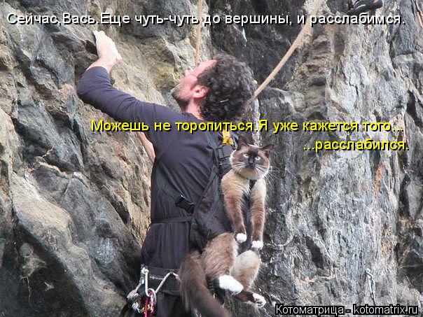 Сейчас,Вась.Еще чуть-чуть до вершины, и расслабимся. Можешь не торопиться.Я уже кажется того... ...ра... Котоматрица: Сейчас,Вась.Еще чуть-чуть до вершины, и расслабимся. Можешь не торопиться.Я уже кажется того... ...расслабился.
