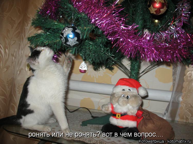 ронять или не ронять? вот в чем вопрос....... Котоматрица: ронять или не ронять? вот в чем вопрос....