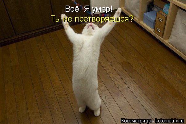 Всё! Я умер! Ты не претворяешся?... Котоматрица: Всё! Я умер! Ты не претворяешся?