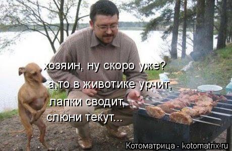 хозяин, ну скоро уже? а,то в животике урчит, лапки сводит, слюни текут...... Котоматрица: хозяин, ну скоро уже? а,то в животике урчит, лапки сводит, слюни текут...