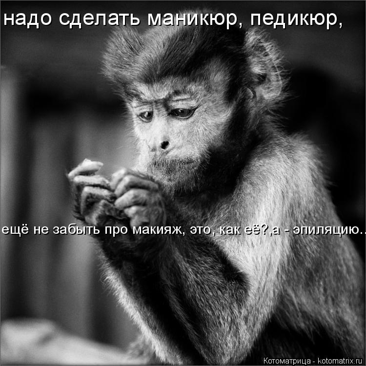 надо сделать маникюр, педикюр, ещё не забыть про макияж, это, как её?,а - эпиляцию...... Котоматрица: надо сделать маникюр, педикюр, ещё не забыть про макияж, это, как её?,а - эпиляцию...