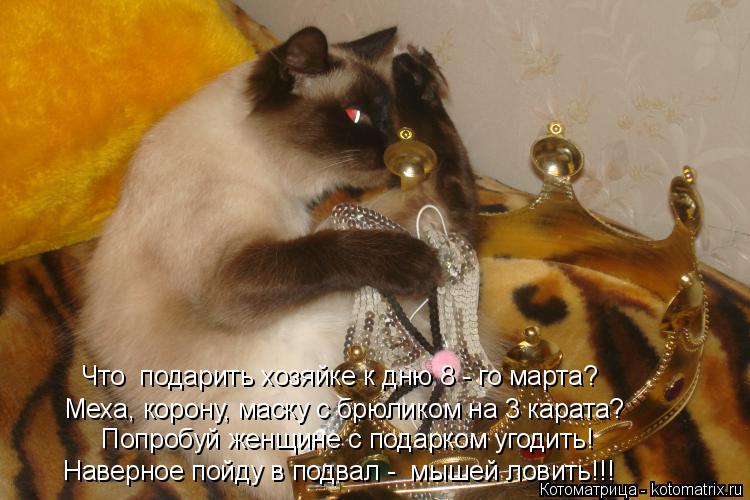Попробуй женщине с подарком угодить! Что подарить хозяйке к дню 8 - го марта? Наверное пойду в подва... Котоматрица: Попробуй женщине с подарком угодить! Что подарить хозяйке к дню 8 - го марта? Наверное пойду в подвал - мышей ловить!!! Меха, корону, маску с бр