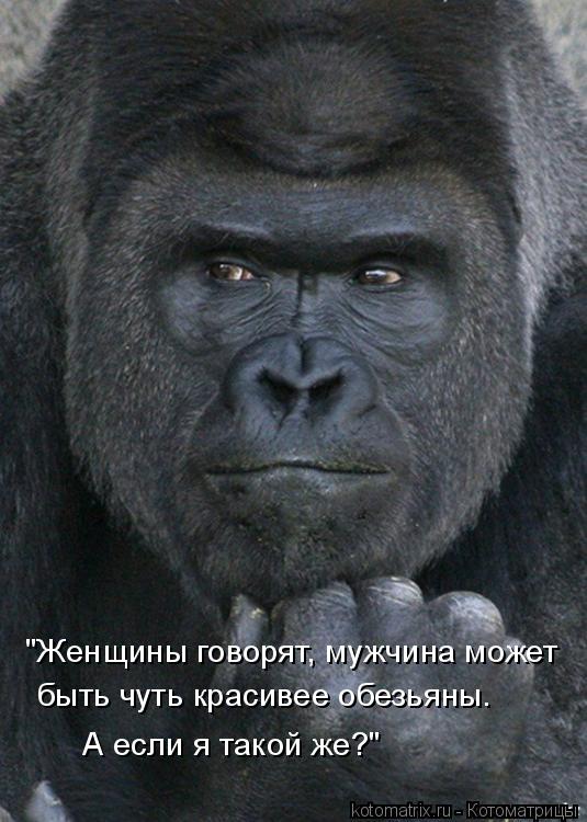 "Женщины говорят, мужчина может быть чуть красивее обезьяны. А если я такой же?"... Котоматрица: "Женщины говорят, мужчина может быть чуть красивее обезьяны. А если я такой же?"