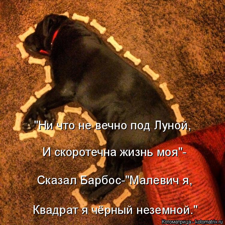 "Ни что не вечно под Луной, И скоротечна жизнь моя"- Сказал Барбос-"Малевич я, Квадрат я чёрный незем... Котоматрица: "Ни что не вечно под Луной, И скоротечна жизнь моя"- Сказал Барбос-"Малевич я, Квадрат я чёрный неземной."