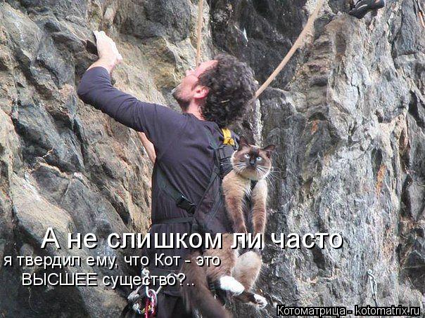 А не слишком ли часто я твердил ему, что Кот - это ВЫСШЕЕ существо?..... Котоматрица: А не слишком ли часто я твердил ему, что Кот - это ВЫСШЕЕ существо?..