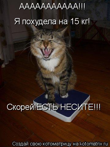 ААААААААААА!!! Я похудела на 15 кг! Скорей!ЕСТЬ НЕСИТЕ!!!... Котоматрица: ААААААААААА!!! Я похудела на 15 кг! Скорей!ЕСТЬ НЕСИТЕ!!!