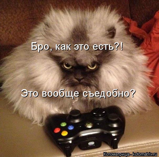 Бро, как это есть?! Это вообще съедобно?... Котоматрица: Бро, как это есть?! Это вообще съедобно?