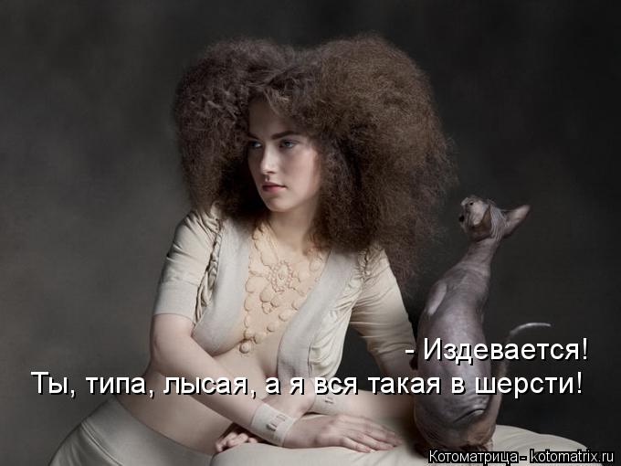 - Издевается! Ты, типа, лысая, а я вся такая в шерсти!... Котоматрица: - Издевается! Ты, типа, лысая, а я вся такая в шерсти!