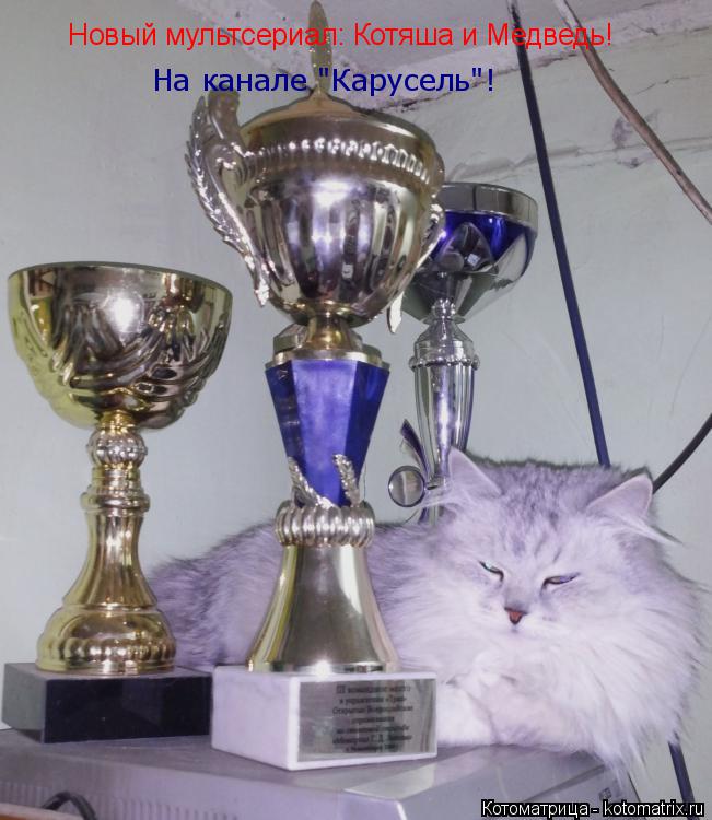 Новый мультсериал: Котяша и Медведь! На канале "Карусель"!... Котоматрица: Новый мультсериал: Котяша и Медведь! На канале "Карусель"!