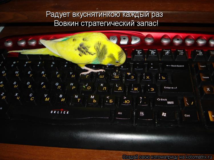 Вовкин стратегический запас! Радует вкуснятинкою каждый раз... Котоматрица: Вовкин стратегический запас! Радует вкуснятинкою каждый раз