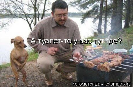 А туалет-то у вас тут где?... Котоматрица: А туалет-то у вас тут где?