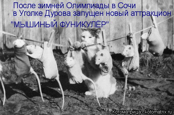 После зимней Олимпиады в Сочи "МЫШИНЫЙ ФУНИКУЛЁР" в Уголке Дурова запущен новый аттракцион... Котоматрица: После зимней Олимпиады в Сочи "МЫШИНЫЙ ФУНИКУЛЁР" в Уголке Дурова запущен новый аттракцион