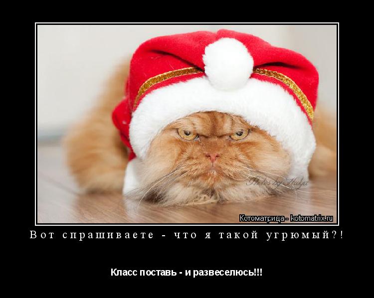 Вот спрашиваете - что я такой угрюмый?! Класс поставь - и развеселюсь!!!... Котоматрица: Вот спрашиваете - что я такой угрюмый?! Класс поставь - и развеселюсь!!!