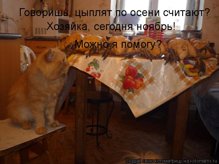 Говоришь, цыплят по осени считают? Хозяйка, сегодня ноябрь! Можно я помогу?... Котоматрица: Говоришь, цыплят по осени считают? Хозяйка, сегодня ноябрь! Можно я помогу?