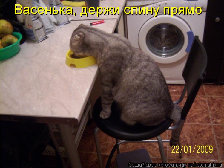 Васенька, держи спину прямо... Котоматрица: Васенька, держи спину прямо