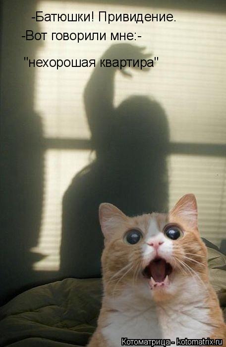 -Батюшки! Привидение. -Вот говорили мне:- "нехорошая квартира"... Котоматрица: -Батюшки! Привидение. -Вот говорили мне:- "нехорошая квартира"