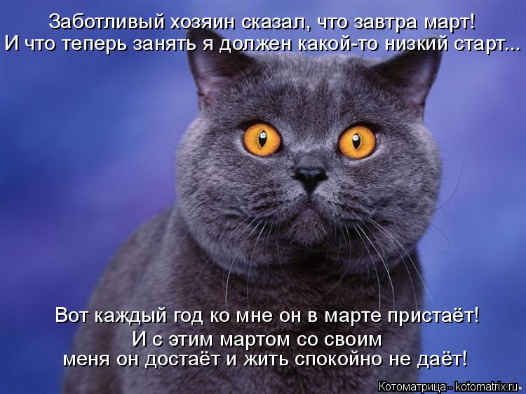 Заботливый хозяин сказал, что завтра март! И что теперь занять я должен какой-то низкий старт... Вот... Котоматрица: Заботливый хозяин сказал, что завтра март! И что теперь занять я должен какой-то низкий старт... Вот каждый год ко мне он в марте пристаёт! И