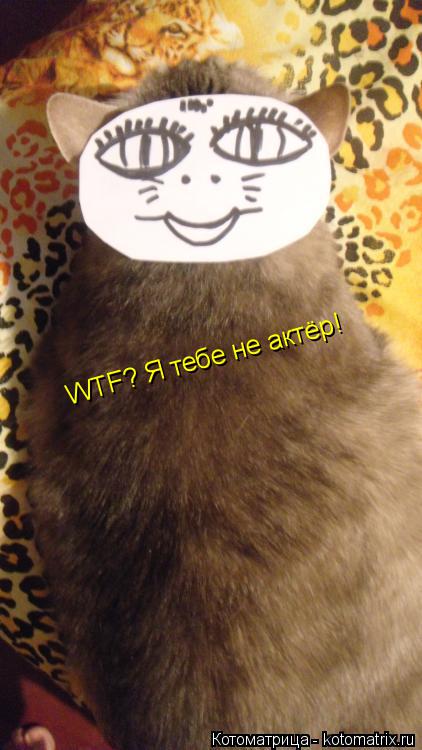 WTF? Я тебе не актёр!... Котоматрица: WTF? Я тебе не актёр!