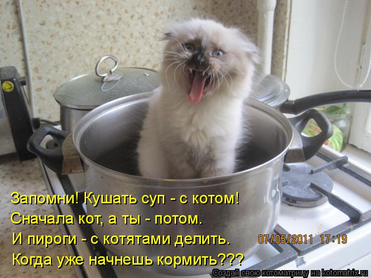 Сначала кот, а ты - потом. Запомни! Кушать суп - с котом! И пироги - с котятами делить. Когда уже нач... Котоматрица: Сначала кот, а ты - потом. Запомни! Кушать суп - с котом! И пироги - с котятами делить. Когда уже начнешь кормить???