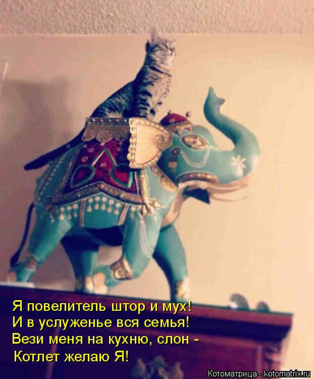 Я повелитель штор и мух! И в услуженье вся семья! Вези меня на кухню, слон - Котлет желаю Я!... Котоматрица: Я повелитель штор и мух! И в услуженье вся семья! Вези меня на кухню, слон - Котлет желаю Я!