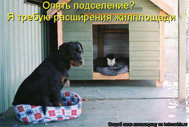 Опять подселение? Я требую расширения жилплощади... Котоматрица: Опять подселение? Я требую расширения жилплощади