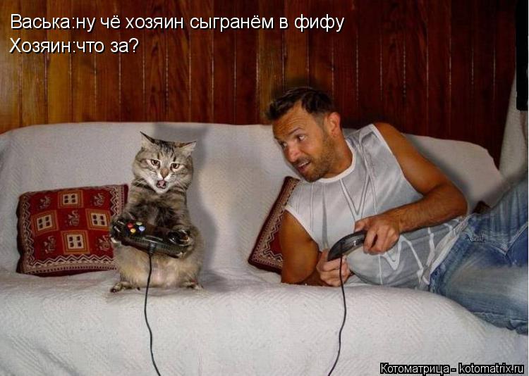 Васька:ну чё хозяин сыгранём в фифу Хозяин:что за?... Котоматрица: Васька:ну чё хозяин сыгранём в фифу Хозяин:что за?