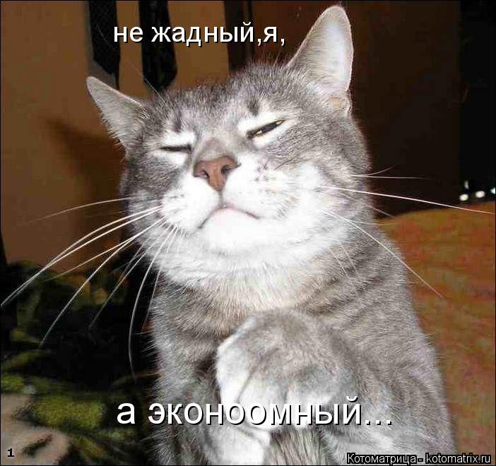 не жадный,я, а эконоомный...... Котоматрица: не жадный,я, а эконоомный...