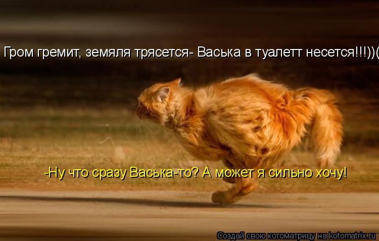 Гром гремит, земяля трясется- Васька в туалетт несется!!!))() -Ну что сразу Васька-то? А может я силь... Котоматрица: Гром гремит, земяля трясется- Васька в туалетт несется!!!))() -Ну что сразу Васька-то? А может я сильно хочу!