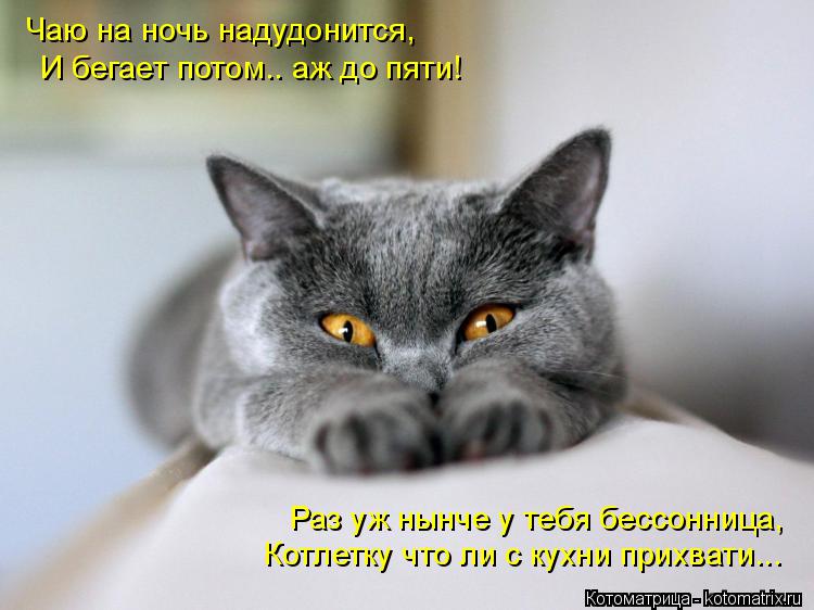 Чаю на ночь надудонится, И бегает потом.. аж до пяти! Котлетку что ли с кухни прихвати... Раз уж нынч... Котоматрица: Чаю на ночь надудонится, И бегает потом.. аж до пяти! Котлетку что ли с кухни прихвати... Раз уж нынче у тебя бессонница,