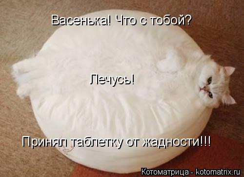 Принял таблетку от жадности!!! Васенька! Что с тобой? Лечусь!... Котоматрица: Принял таблетку от жадности!!! Васенька! Что с тобой? Лечусь!